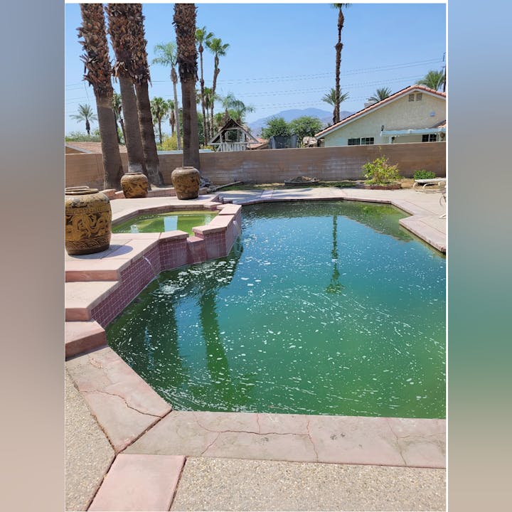 A backyard scene featuring a green swimming pool, steps, decorative pots, palm trees, and a house in the background.