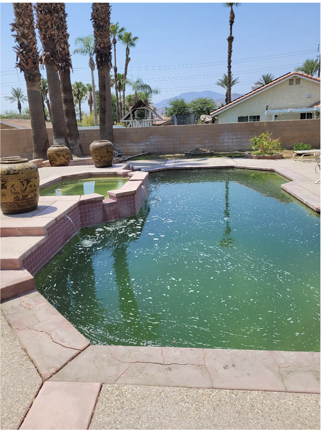 A backyard scene featuring a green swimming pool, steps, decorative pots, palm trees, and a house in the background.