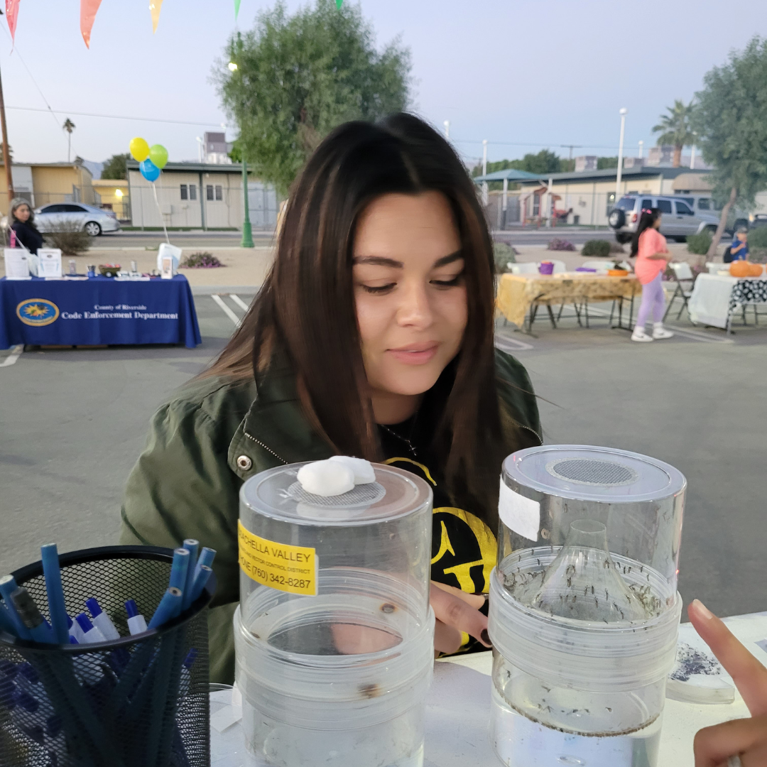 A young woman is engaged with containers at a community event, with tables and decorations in the background.