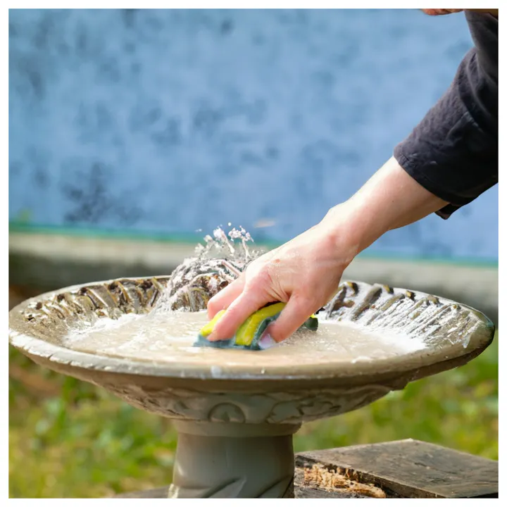 A person's hand is scrubbing a birdbath with a sponge, causing water splashes.