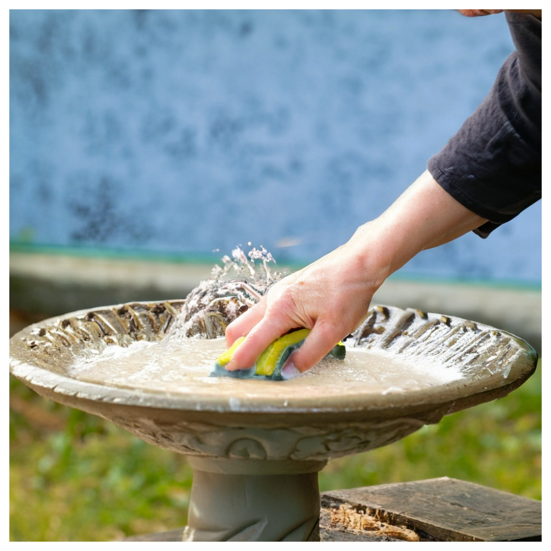 A person's hand is scrubbing a birdbath with a sponge, causing water splashes.