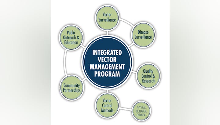 IVM diagram
