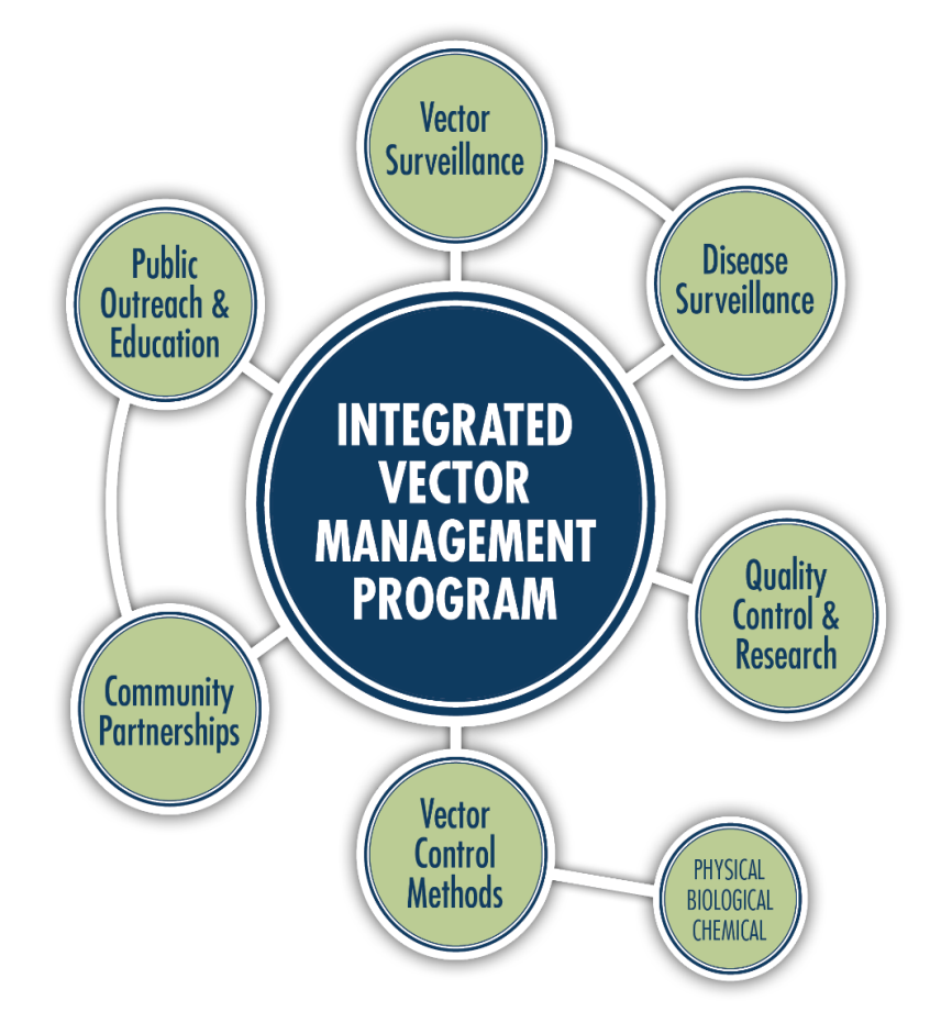 IVM diagram