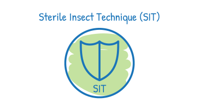 SIT logo