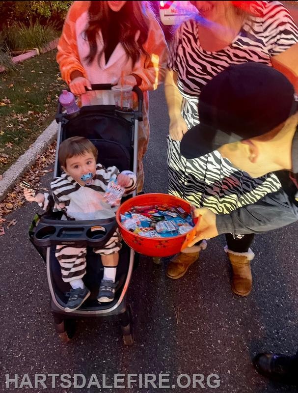 A child in a zebra costume is in a stroller, surrounded by adults, with a bowl of candy being offered. Festive and playful scene.