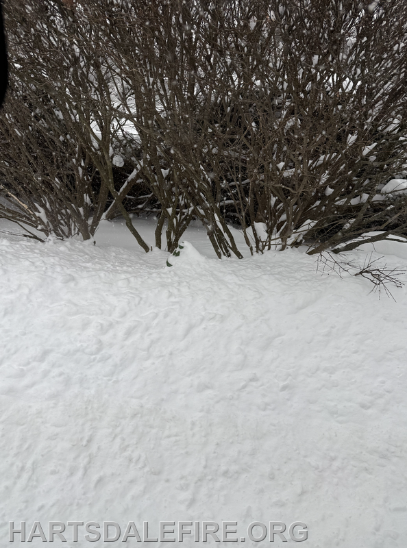 The image shows a snowy landscape with bushes in the background, creating a winter scene filled with fresh snow.