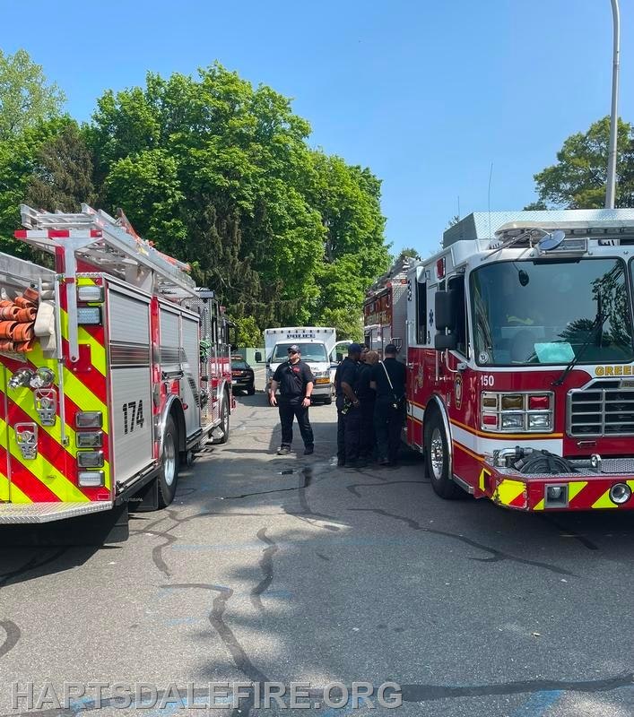 Fire trucks and a group of firefighters on a street with trees in the background.