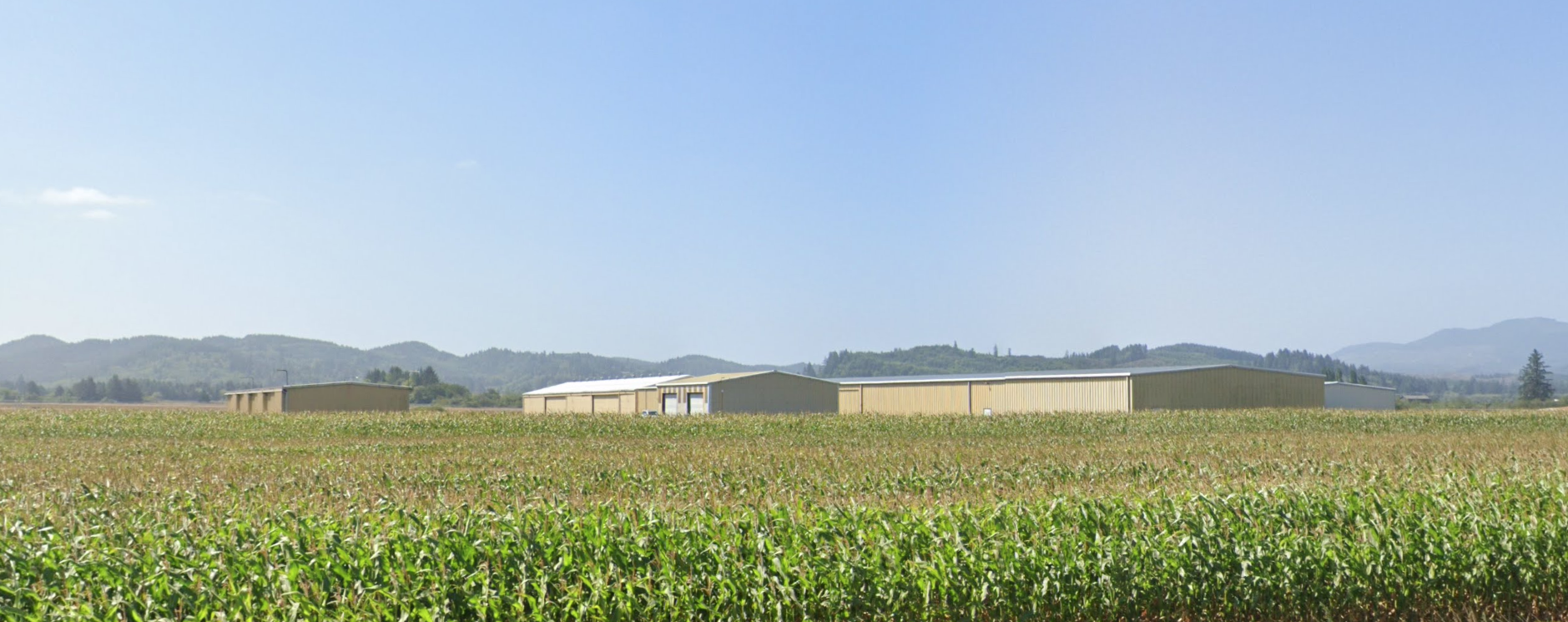 A cornfield with industrial buildings and hills under a clear blue sky.