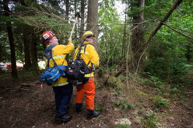 Photo of Firefighters in woods