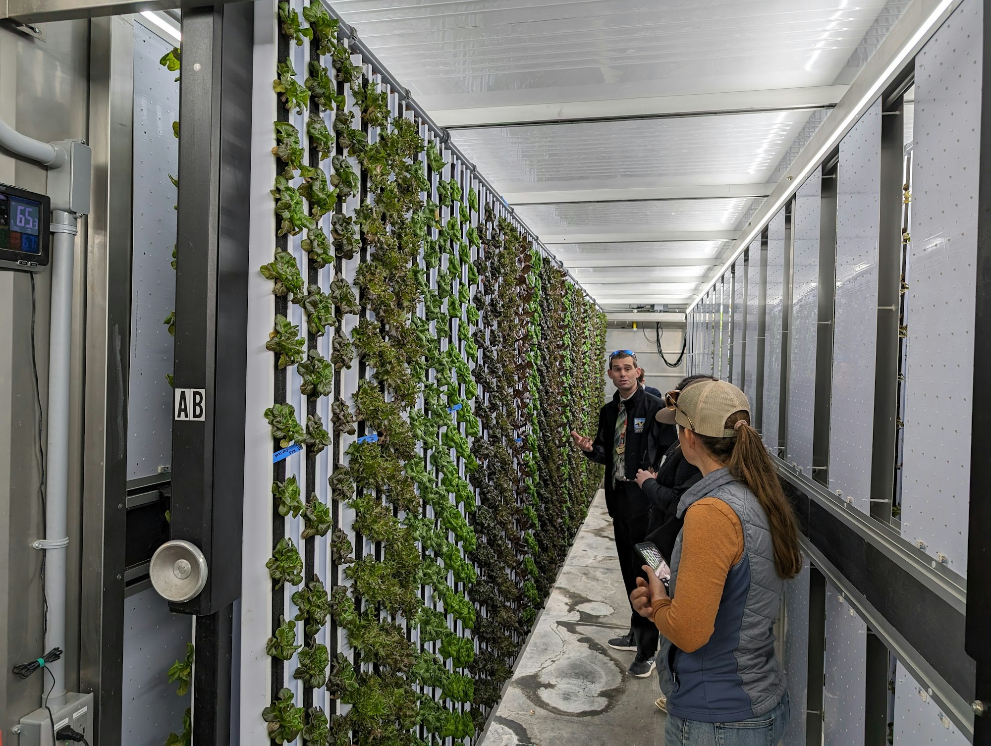 Tour with lettuce growing in a hydroponic system.