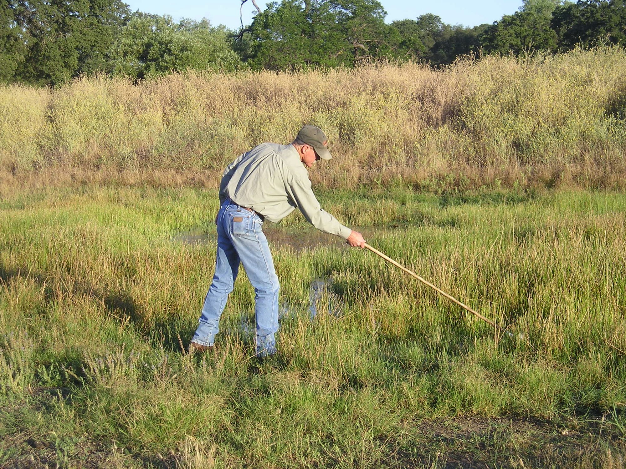 Technician,Mike Robinson dipping water to check for mosquito larvae