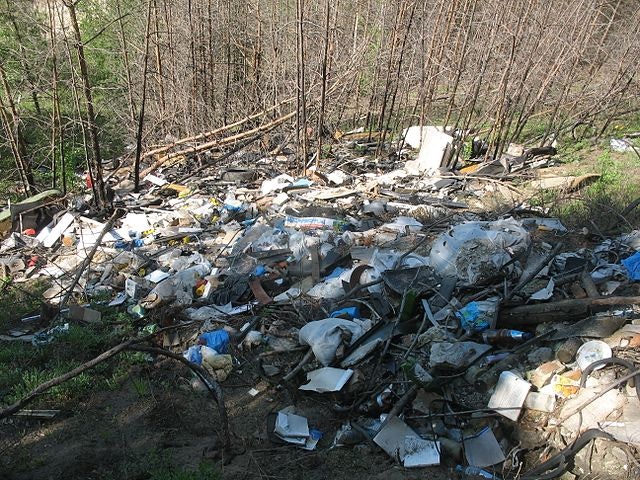 The image shows an area filled with various types of waste and debris among barren trees, indicating environmental pollution.