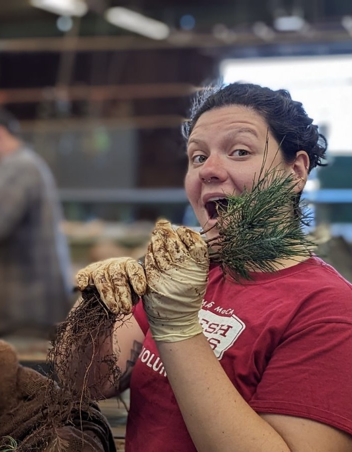 A smiling person holding up ginger and pine leaves, mimicking a beard and mustache.