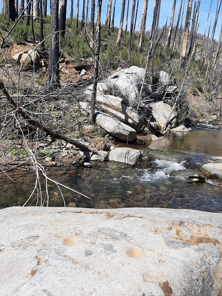 May contain: water, nature, outdoors, wilderness, creek, and stream