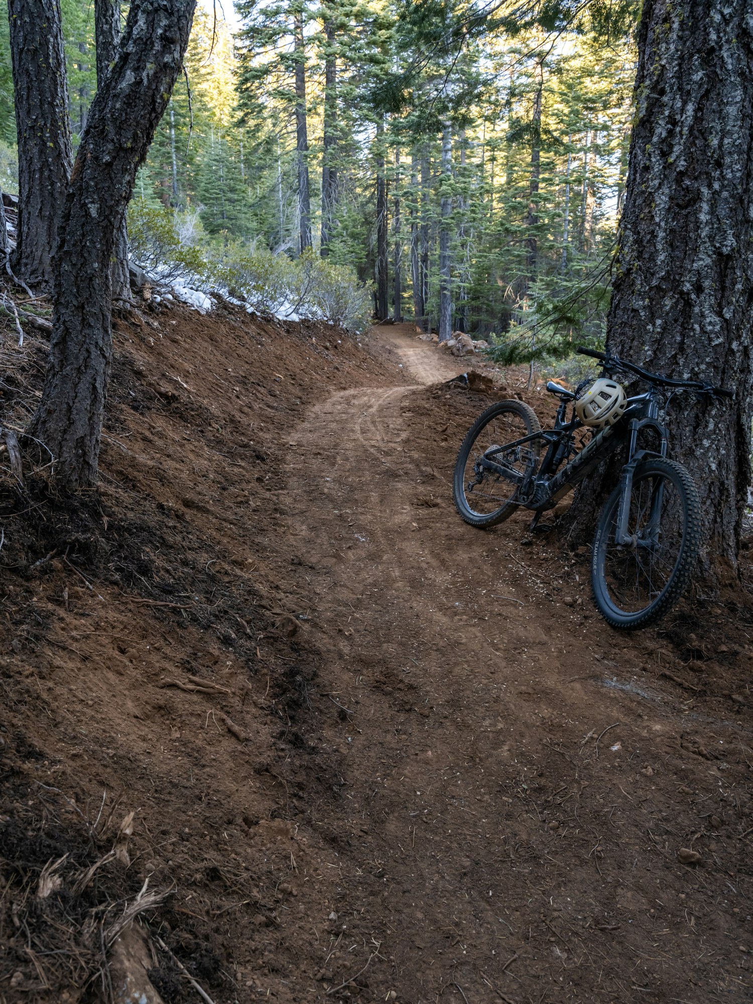 A dirt trail in a forest with a mountain bike leaning against a tree.