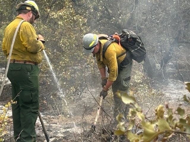 Firefighters in yellow gear extinguishing a forest fire. Smoke and burnt trees visible.