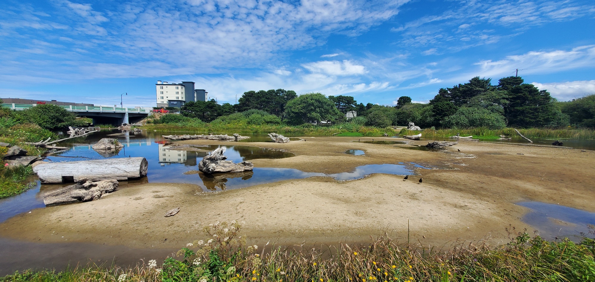 A serene landscape featuring a shallow water area with logs, a bridge, and buildings in the background under a blue sky.