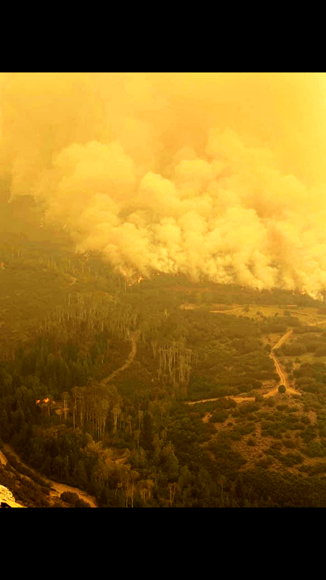 Wildfire engulfing a forest, smoke filling the sky, with an ominous orange hue.