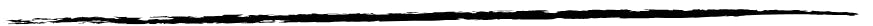 A horizontal black ink brush stroke on a white background.