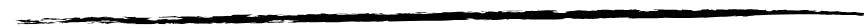 A horizontal black ink brush stroke on a white background.