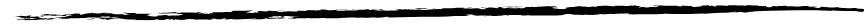 A horizontal black ink brush stroke on a white background.