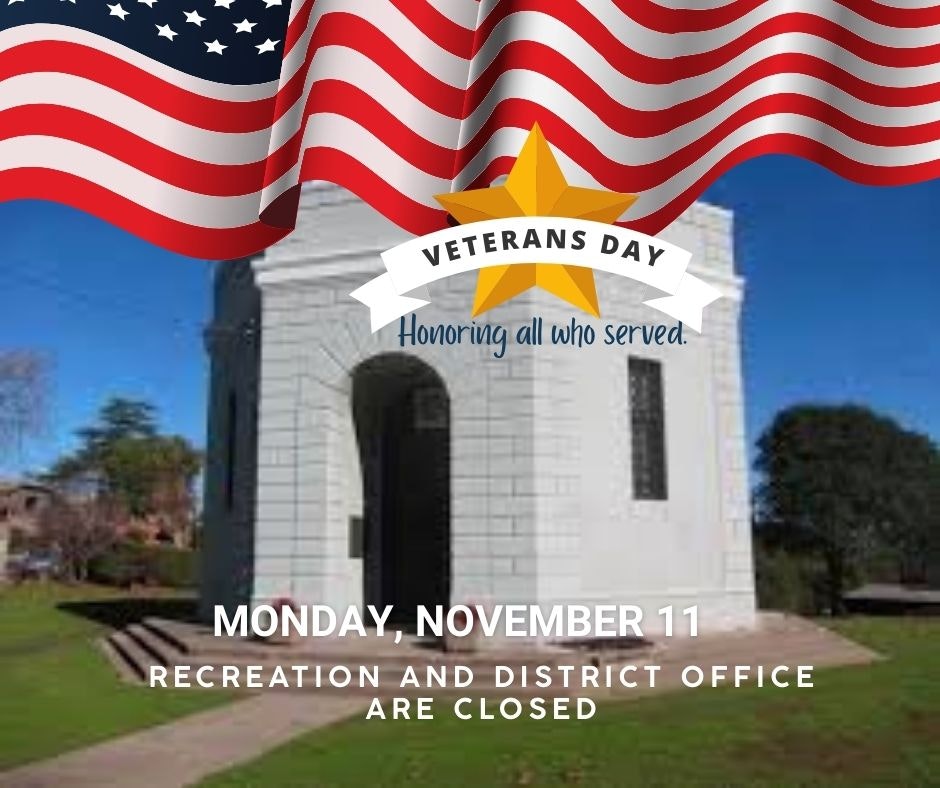 A Veterans Day poster with American flags, a monument, a date (Monday, November 11), and a closure notice for offices.