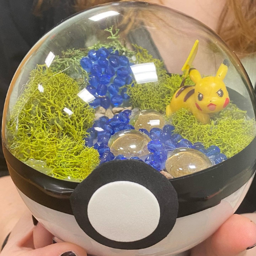 A terrarium inside a Pokéball, featuring a Pikachu figure, green moss, and blue decorative stones.
