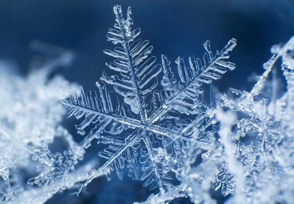 May contain: nature, outdoors, snow, and snowflake