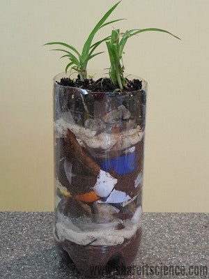 A plastic bottle terrarium with plants, soil, and organic matter layers.