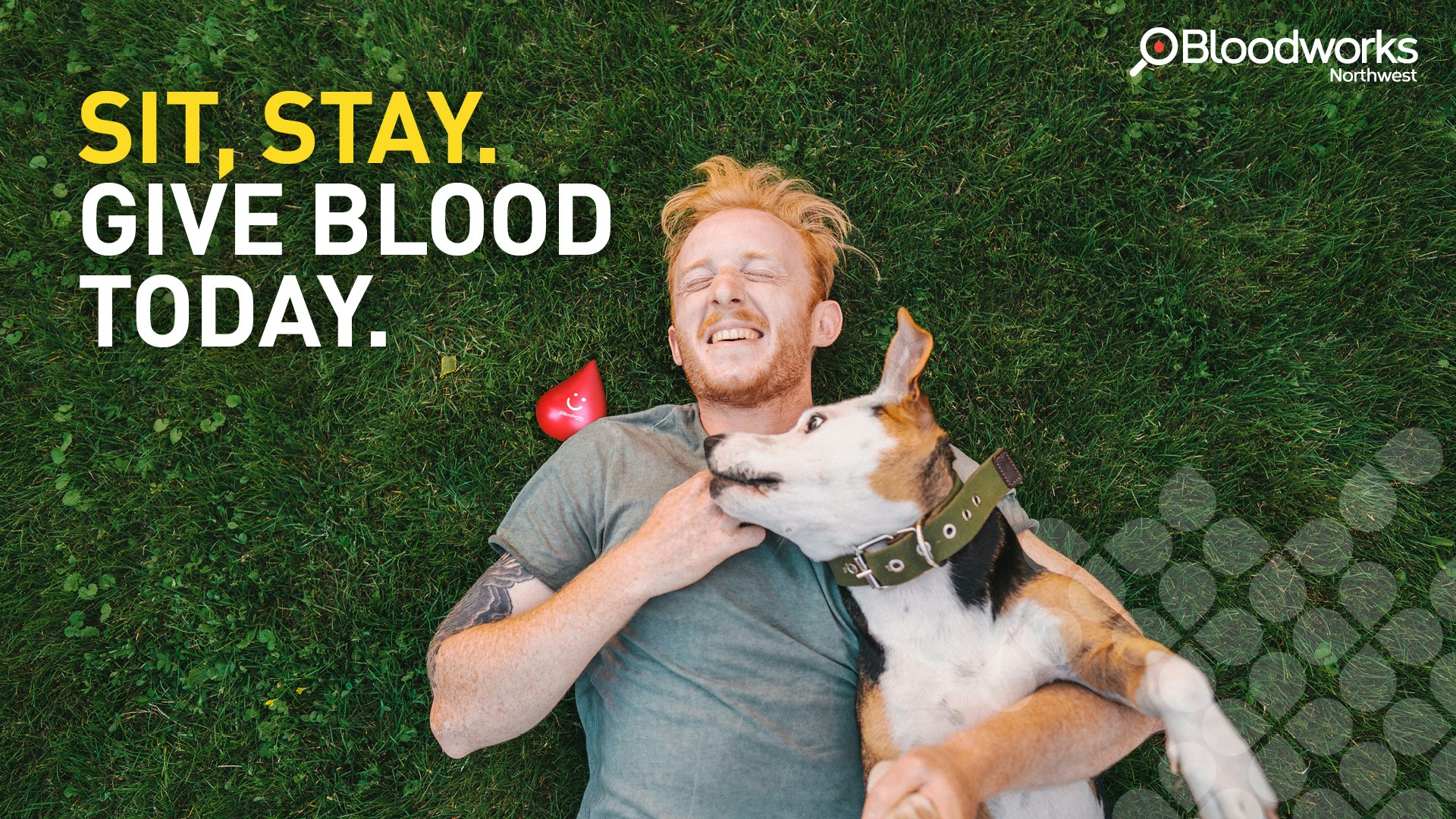 Man lying on grass with a dog, smiling. Text: "SIT, STAY. GIVE BLOOD TODAY." Bloodworks Northwest logo.