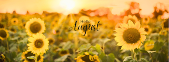 Sunflower field at sunset with "Hello August" text.
