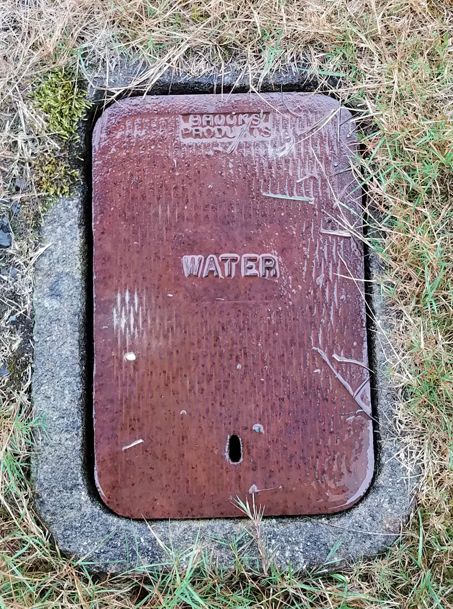 A rusty metal water utility cover on the ground.