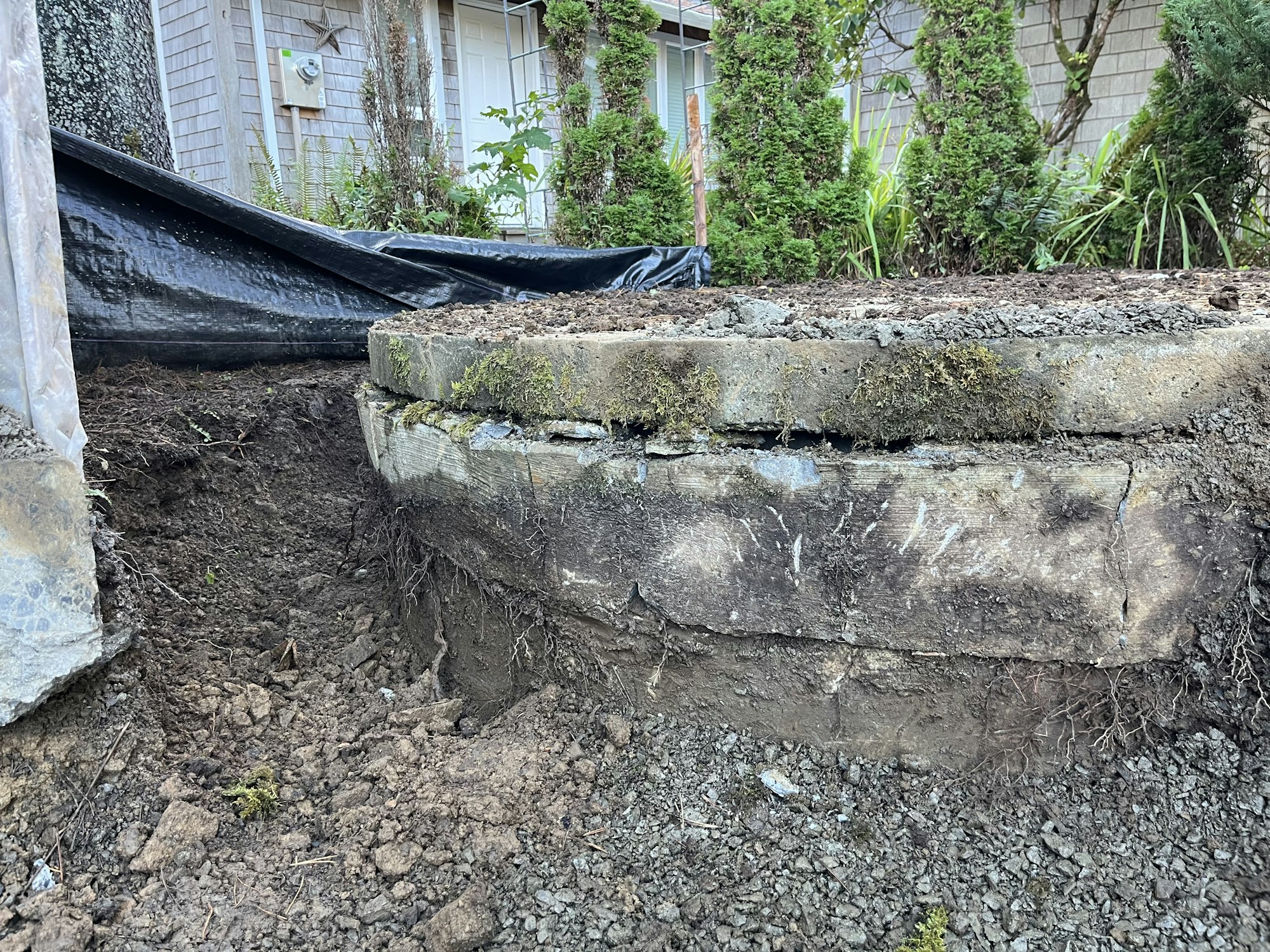 Dug up garden beds with exposed concrete and soil, tarps, and part of a house with plants.
