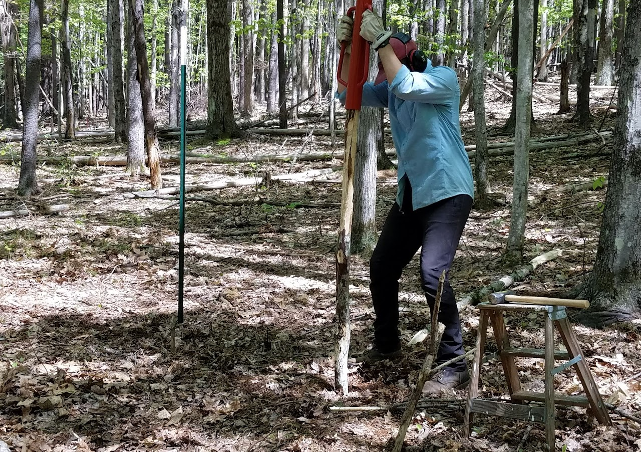 A person using a post hole digger in the woods with a stool nearby.