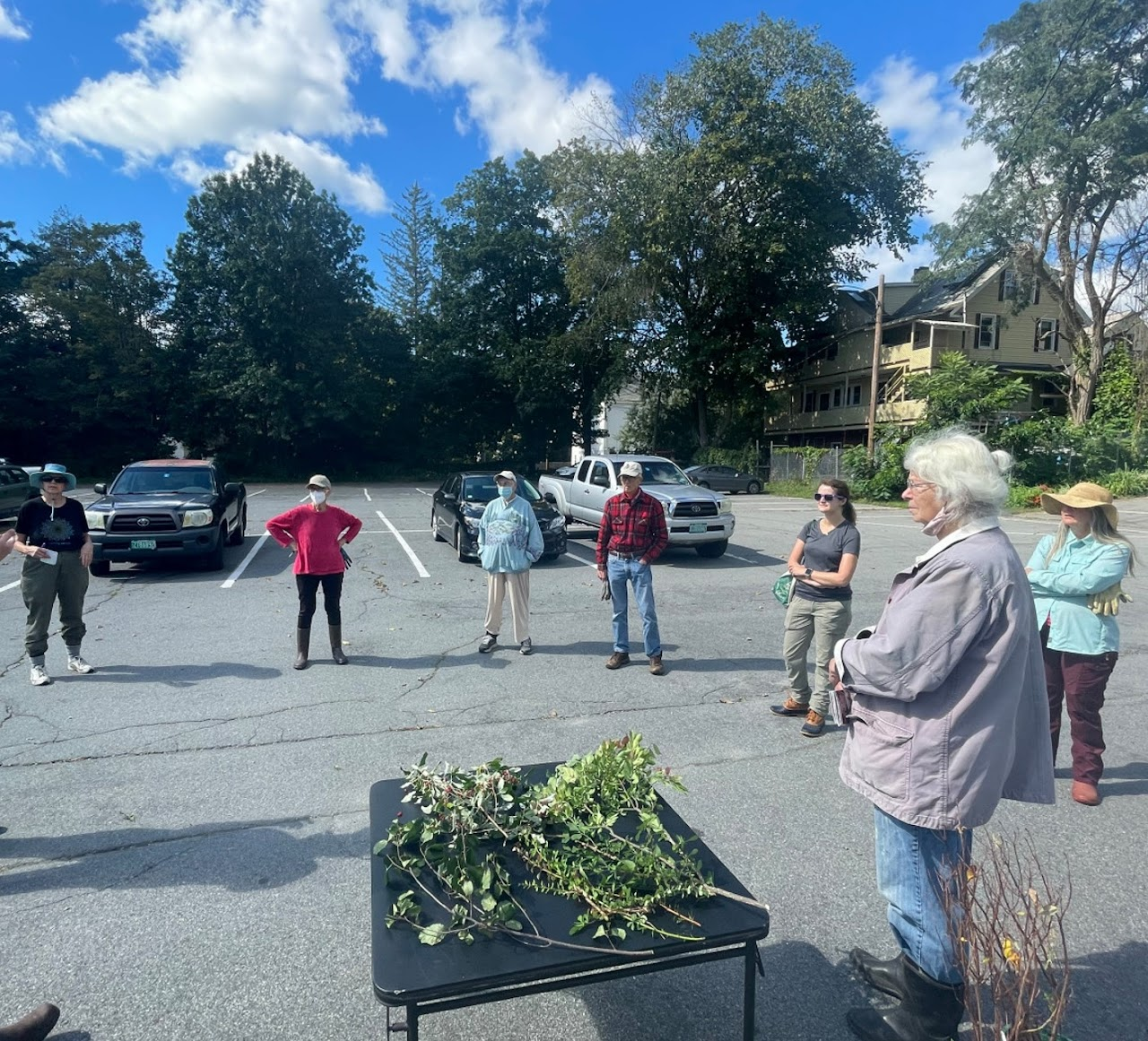 Group of people standing in a parking lot with vegetation on a table, possibly attending an outdoor class or meeting.