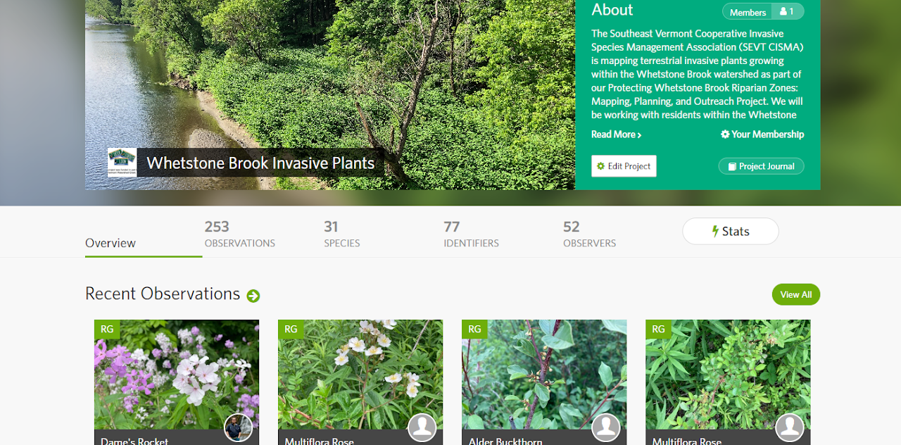 A webpage displaying information about a project on invasive plants with statistics, descriptions, and images of various plants.