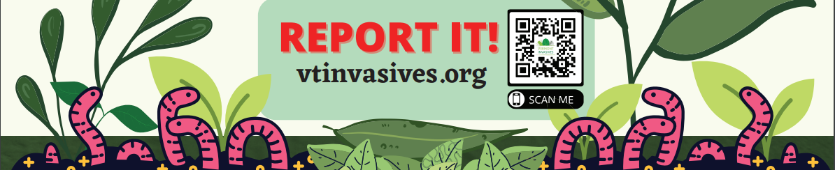 Graphic banner with text "REPORT IT!" and a QR code, urging people to report something to a website, with stylized plants and worms.
