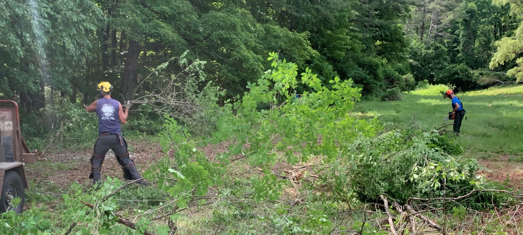 Two people clearing vegetation, one with a chainsaw, near a trailer in a forested area.
