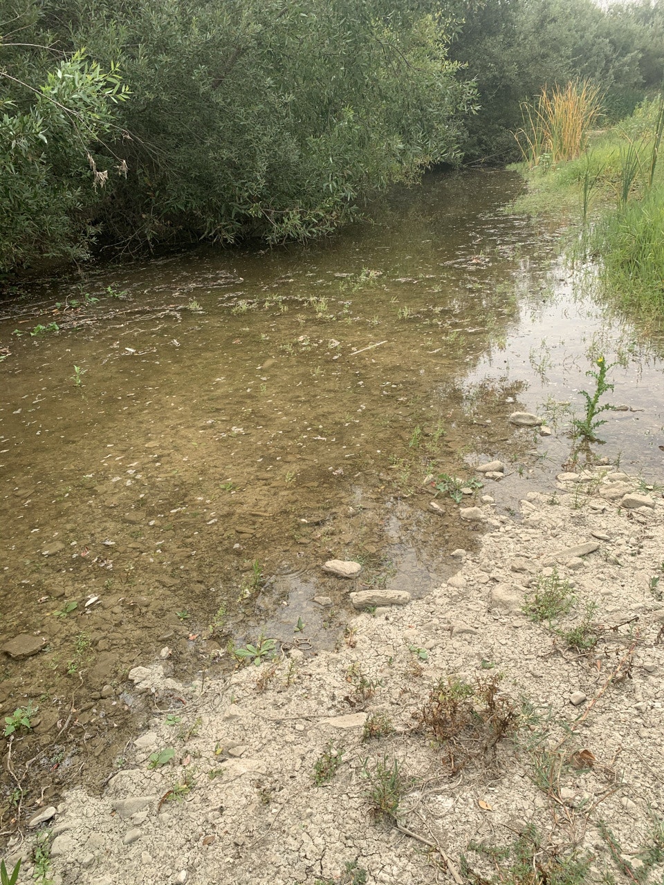 May contain: ground, nature, land, outdoors, and water