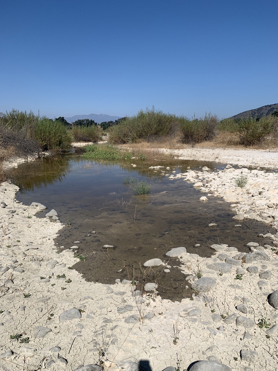 May contain: nature, land, outdoors, water, and ground