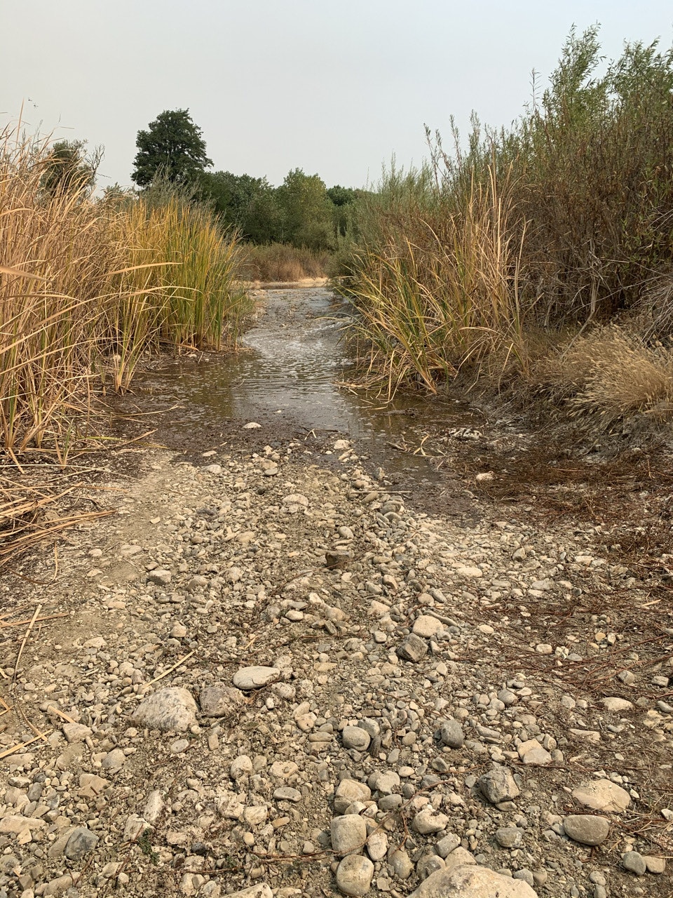 May contain: gravel, dirt road, road, ground, and soil