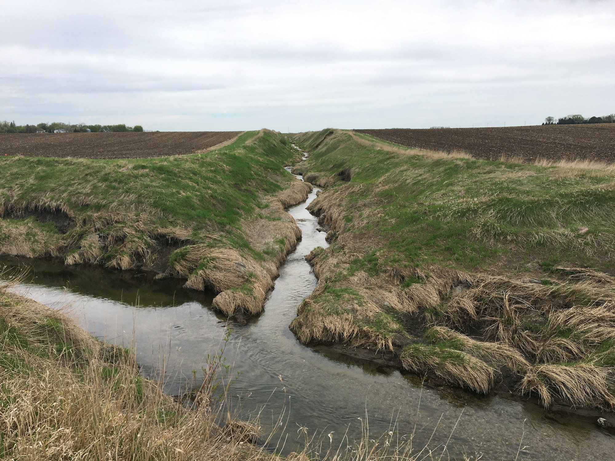 A buffer strip between two fields.