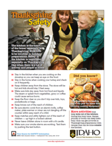 Thanksgiving safety flyer with tips, featuring two women looking at a pie in an oven.