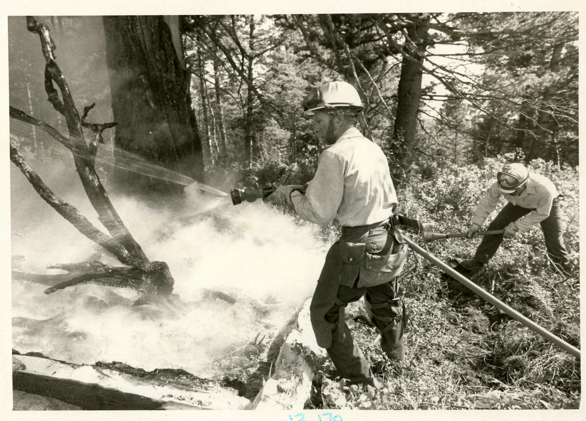 Two firefighters are extinguishing a smoldering log in a wooded area.