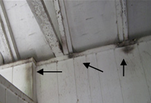 a white wall and roof, with three black arrows showing the dark black 'rub' marks that rats leave when they travel along a path frequently