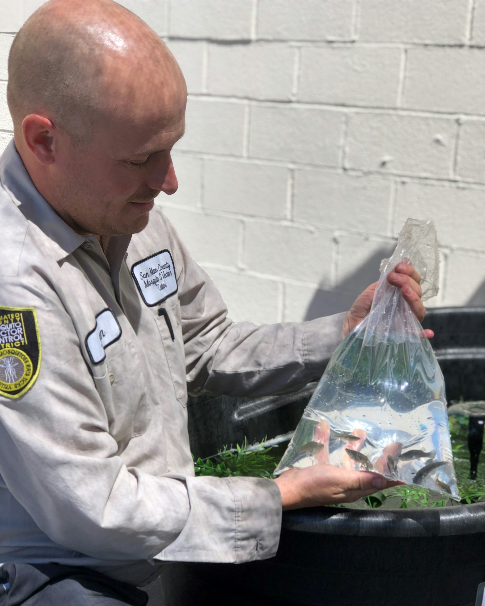 Person in tan uniform holding a clear plastic bag with water and several very small brown fish