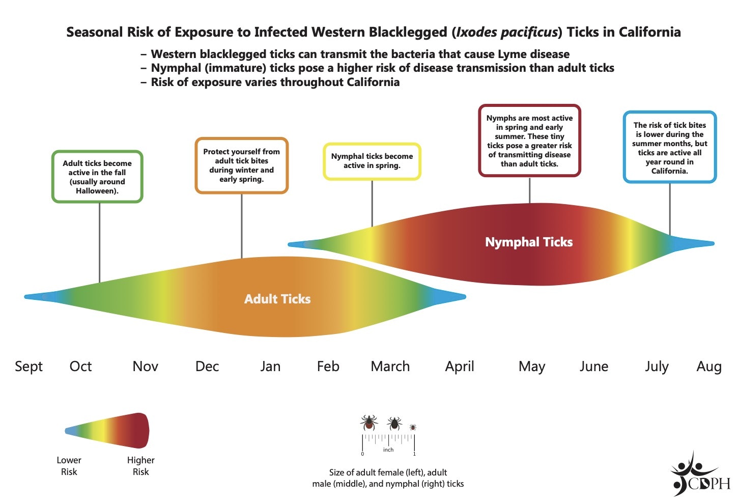 A chart that shows a visualization of seasonal risk of exposure to infected wester blacklegged ticks in california.