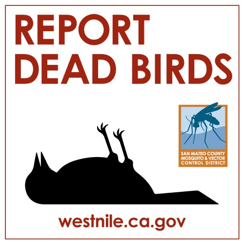 Icon of bird lying on its back (dead). Text reads "Report dead birds. westnile.ca.gov" with the District logo