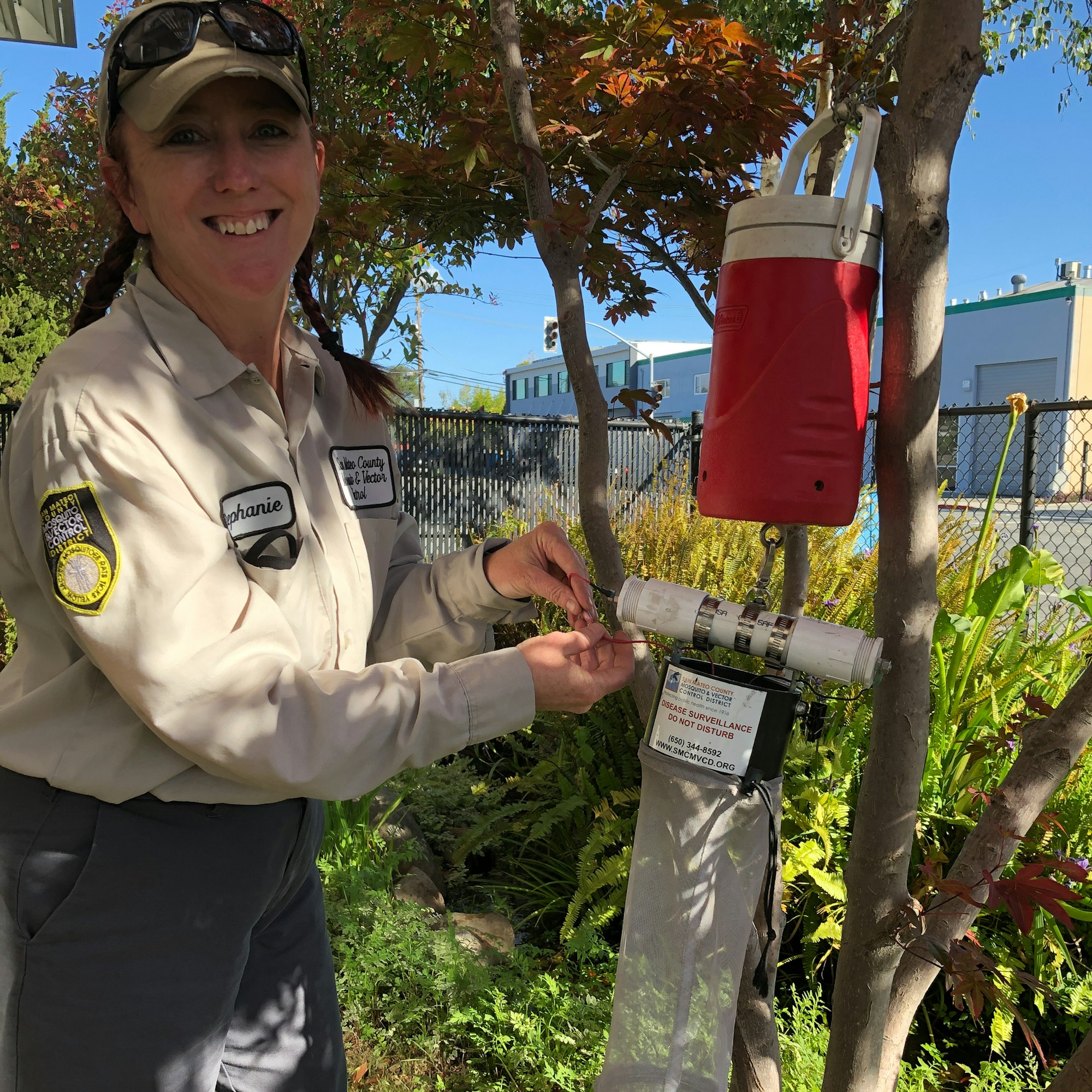 Smiling person in tan uniform attaching a mosquito trap (a red and white drink cooer with a small white PVC pipe and a bag made from netting) to a tree