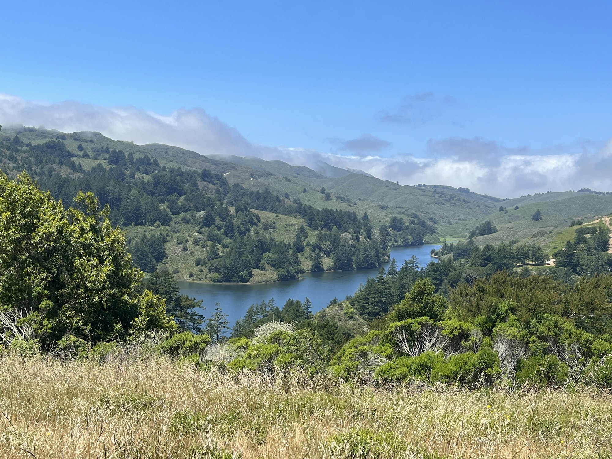 A lush landscape featuring rolling hills, dense forests, a blue lake, and a bright blue sky with scattered clouds.